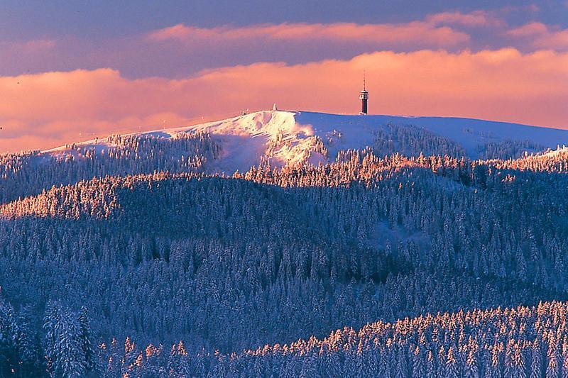 Aparthotel Kupferkanne Todtmoos Esterno foto